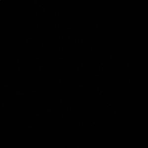 Meet your Posher, Sophia